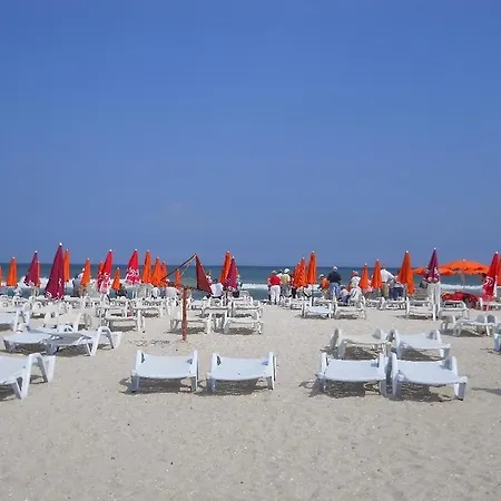 Pool Holiday Flat Mamaia